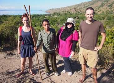 Best 3 Activities in Komodo Island