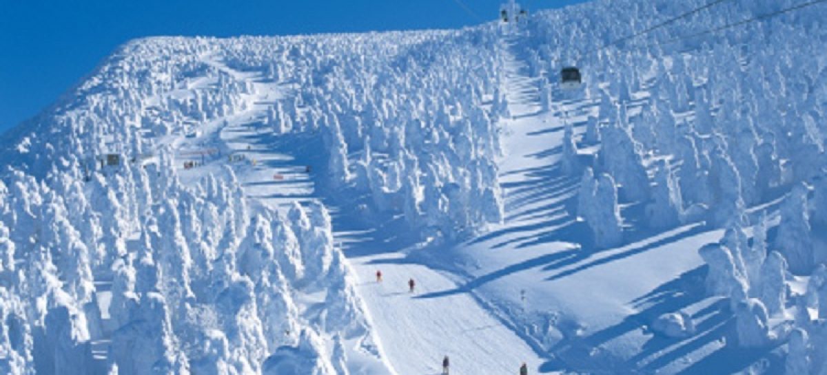 Commodities in Japan Ski Resorts Are The Cheapest in The World