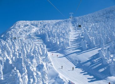 Commodities in Japan Ski Resorts Are The Cheapest in The World