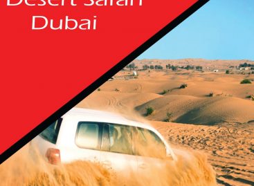 Why a visit desert safari Dubai makes your holidays memorable