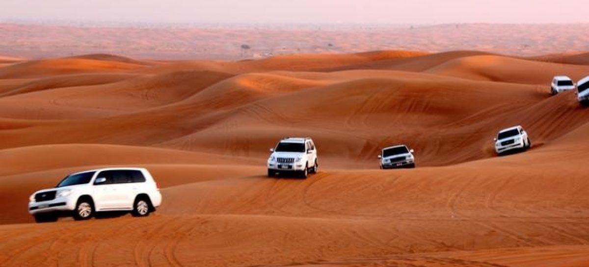 What are the reasons behind people visiting desert safari in a huge number