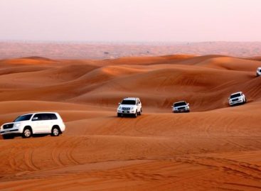 What are the reasons behind people visiting desert safari in a huge number