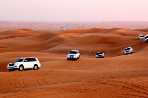 What are the reasons behind people visiting desert safari in a huge number