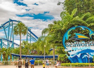 Create an Adventurous and Memorable Trip by Visiting Seaworld at Orlando