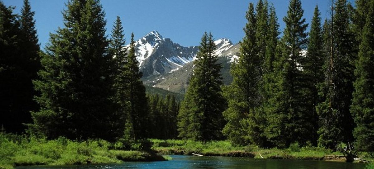 To Explore Colorado Take Daily Tours in The Rocky Mountains