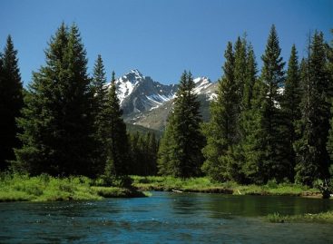 To Explore Colorado Take Daily Tours in The Rocky Mountains