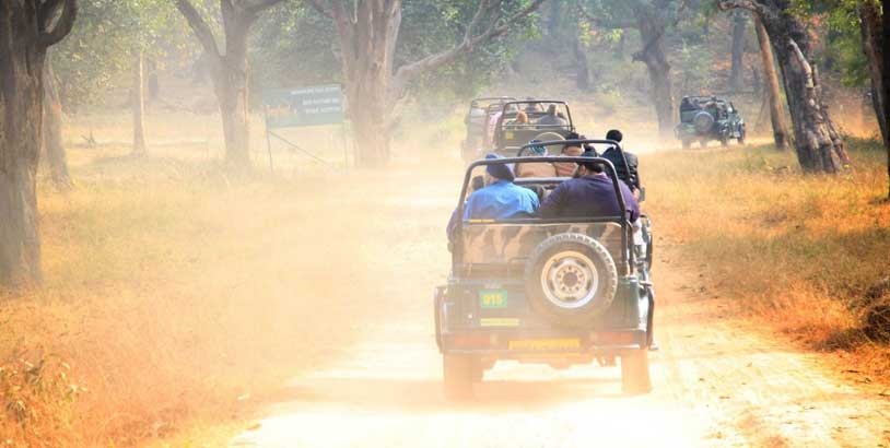 4 Tips To Help You Book A Jeep Tour 