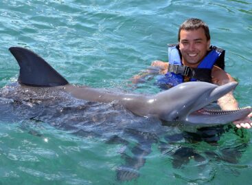 Swimming with Dolphins: A Magical Experience at Dolphin Discovery Cozumel