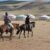 What Guided Horseback Riding Excursions Are There in Western Mongolia?