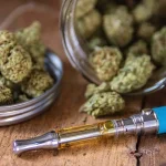 Can You Bring a Vape Pen on a Plane? TSA Guide for THC Carts