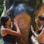 How Interdisciplinary Learning Connects Subjects With Meaningful Real World Questions